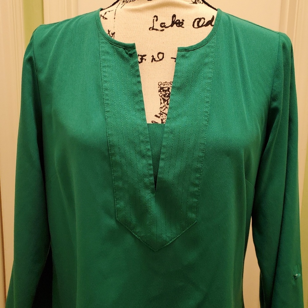 The Limited V-neck Long Sleeves top